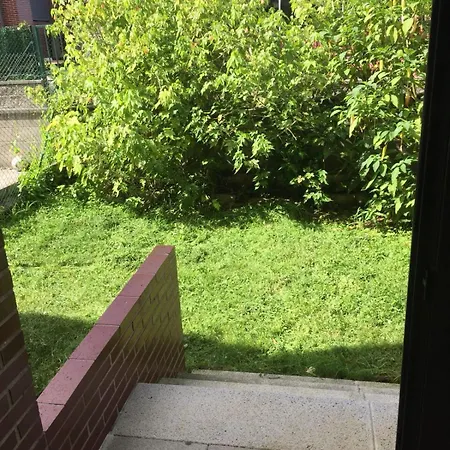 Bajo Con Jardin